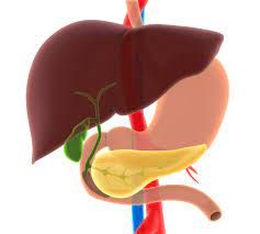 Best Pancreatic Biliary Disorders Treatment